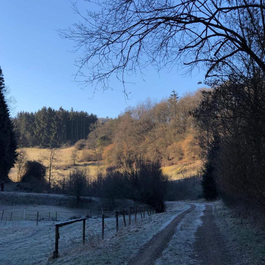 Ferienhaus Waldbaden Im Nationalpark Eifel- Am Bach Schleiden Exterior photo